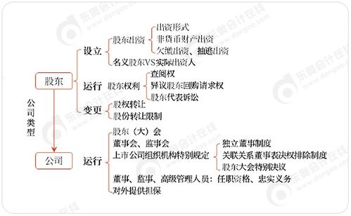东奥名师陈小球揭秘 6张图直击中级会计《经济法》重要章节命题思路